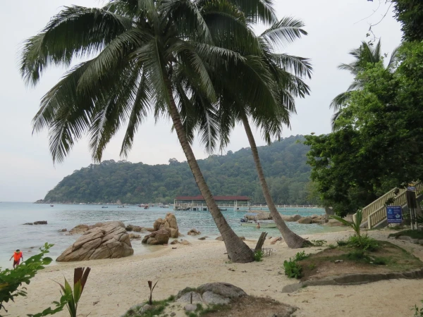 Пляж Coral View