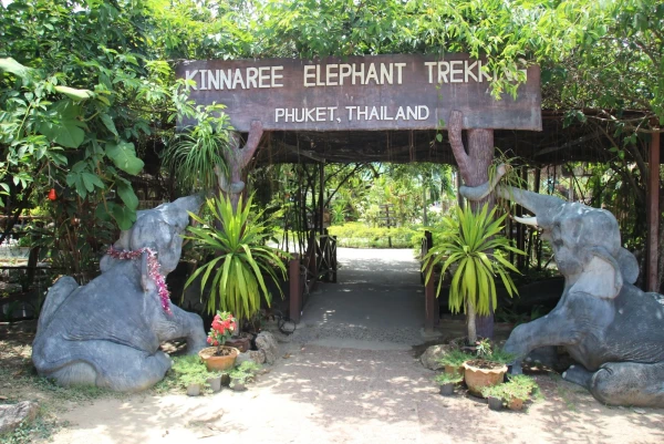 Kinnaree Elephant Camp. Прогулки на слонах.