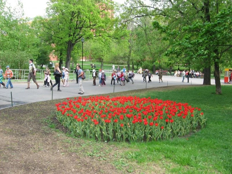 В Александровском саду