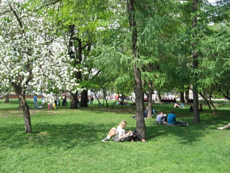 Александровский сад