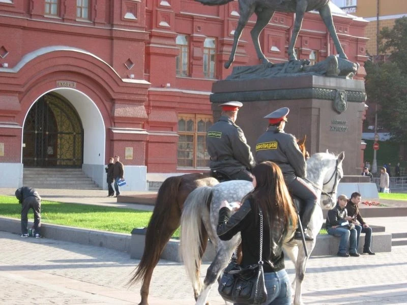Конный караул