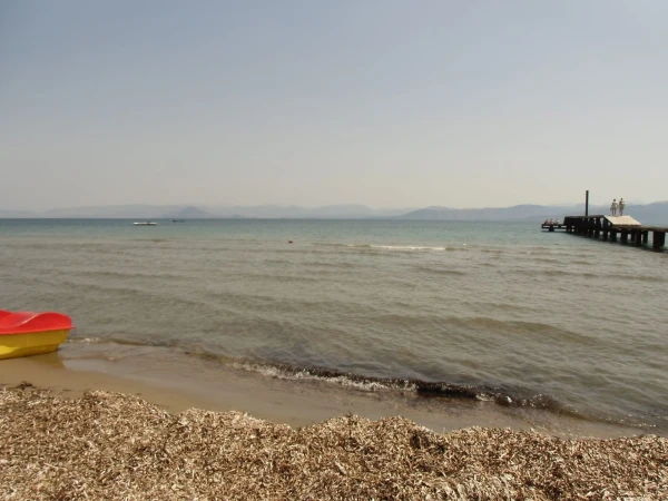 Морская зелень, прибитая к берегу пляжа Кавос, примерная картинка со стороны всех пляжей Ионического моря