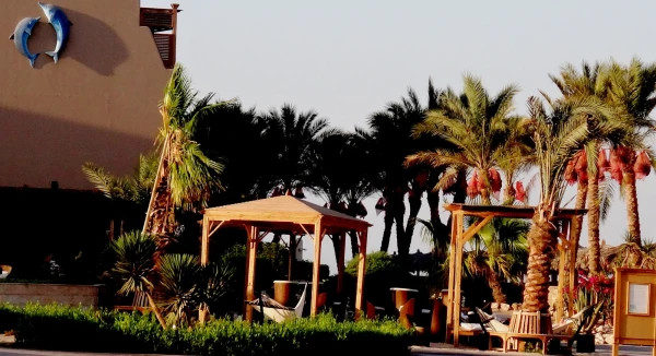 Отель The Breakers diving and surfing lodge soma bay - любимое место кайтеров и серферов