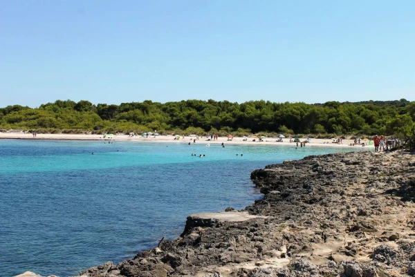 platges de Son Saura
