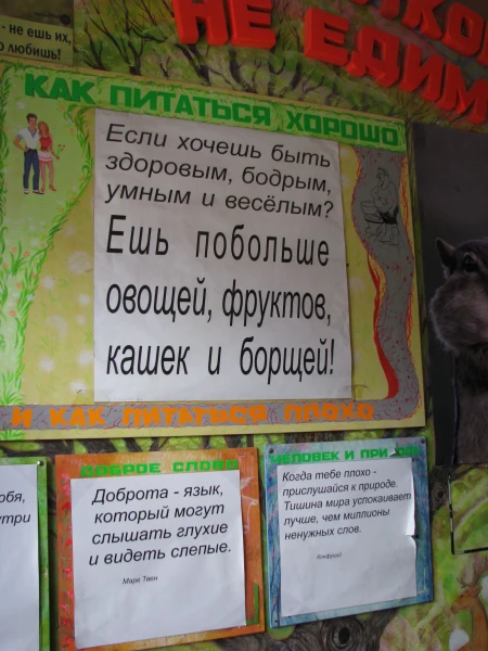 Случайно увидели плакаты у входа в кулинарию и столовую на улице Баумана. Понравились!