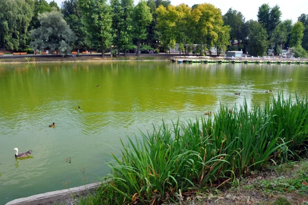 Парк Горького
