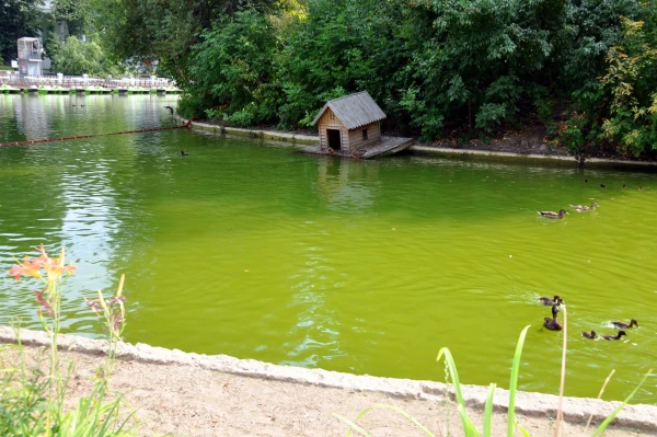 Парк Горького