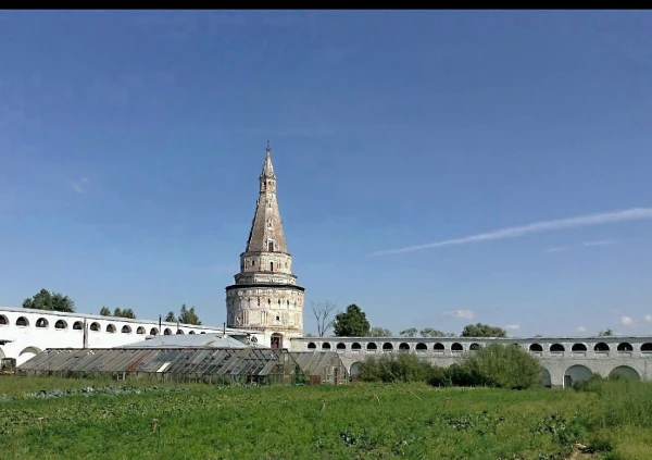 Парники