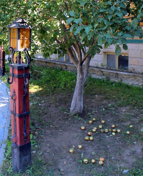 Золотые яблоки