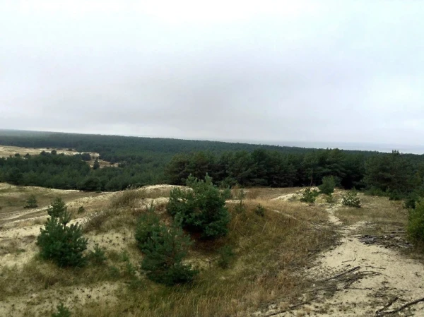Справа море