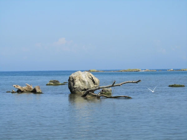 Река Ропотамо