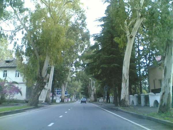 Гагра