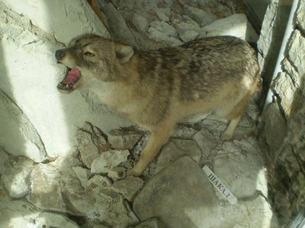 На Ахуне