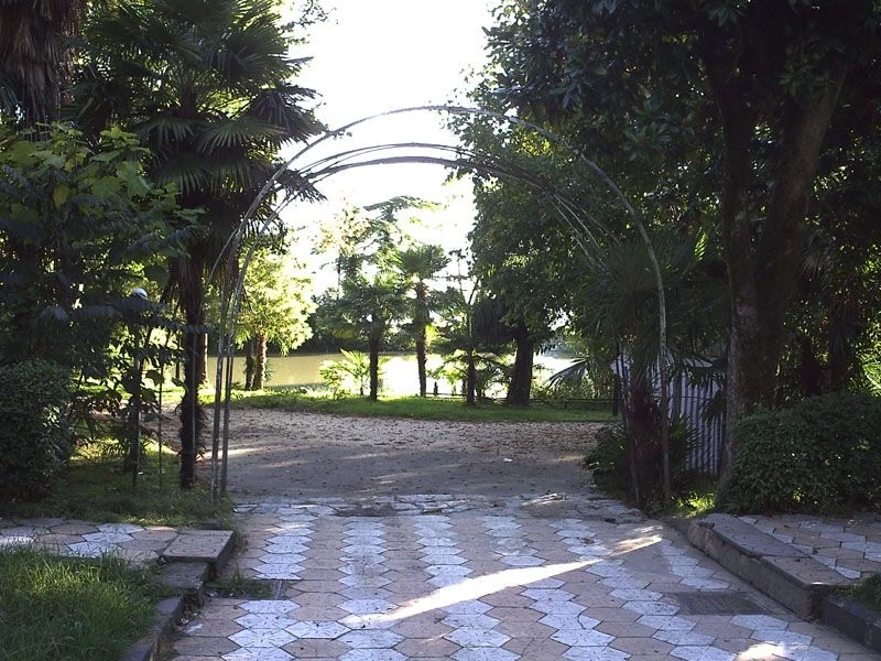 Гагра