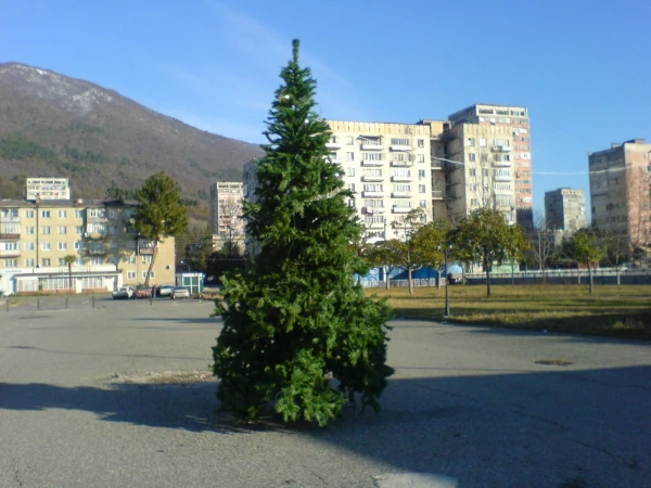 Гостиница Абхазия, Гагра площадь, Новогодняя елка