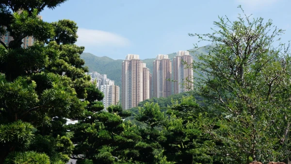 Сад Nan Lian 