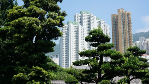 Сад Nan Lian 