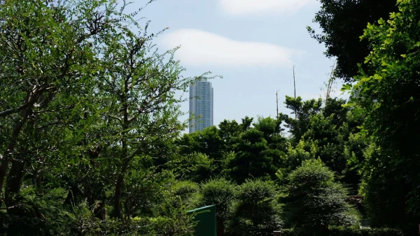 Сад Nan Lian 
