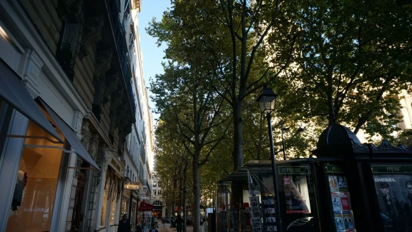 Улицы Парижа