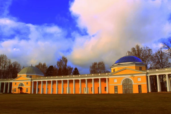 Реконструированное крыло
