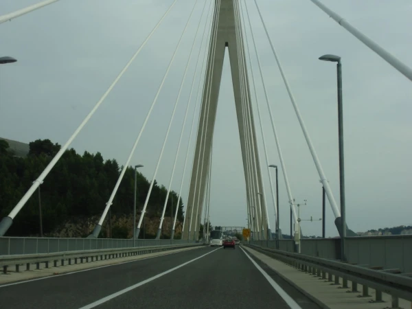 Мост др Франье Туджмана (Franjo Tudjman Bridge) 