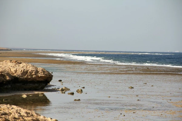 отлив