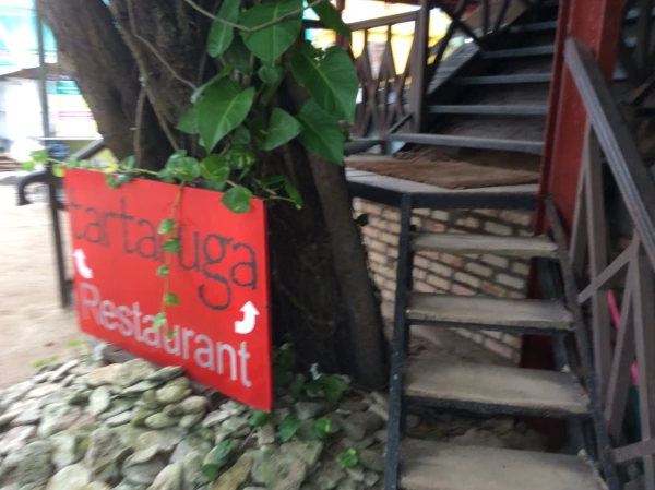 Отель Tartaruga Hotel 2* в Унаватуне