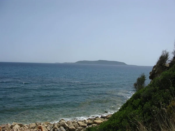 Финикунда, вид из таверны.