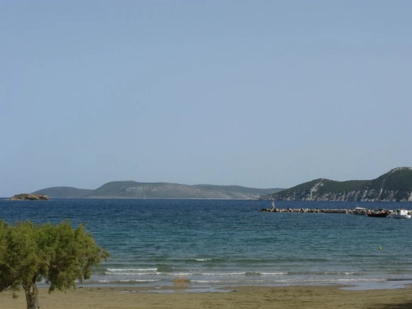 Месони, крепость.