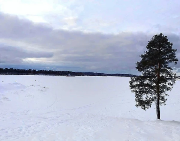 Берег замерзшего озера
