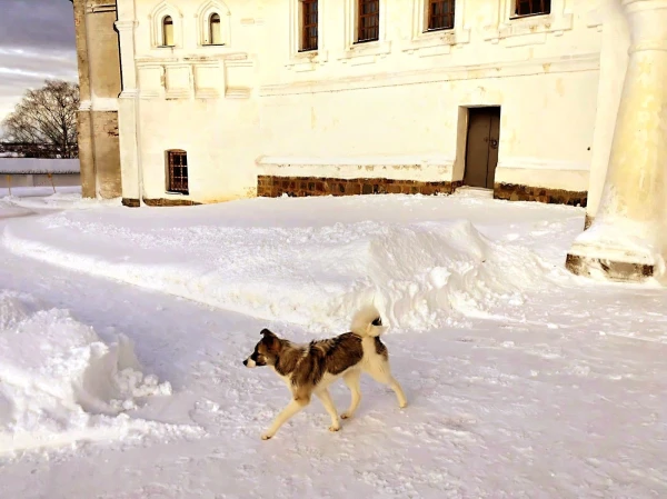 Возле трапезной