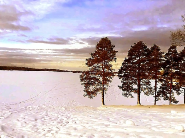 Берег замерзшего озера