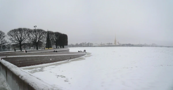 Стрелка Васильевского острова