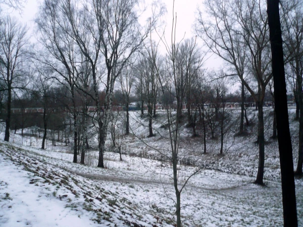 Петровский овраг