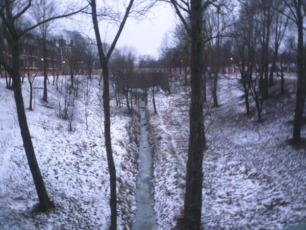 Петровский овраг