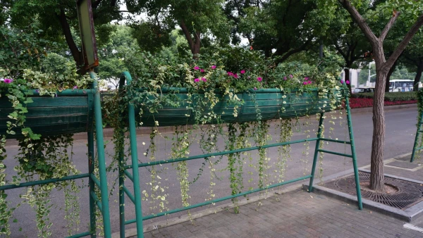 Народная площадь