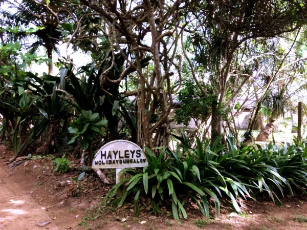 Hayleys Holiday Bungalow в Бентоте