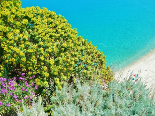 вид со скалы на пляж и море