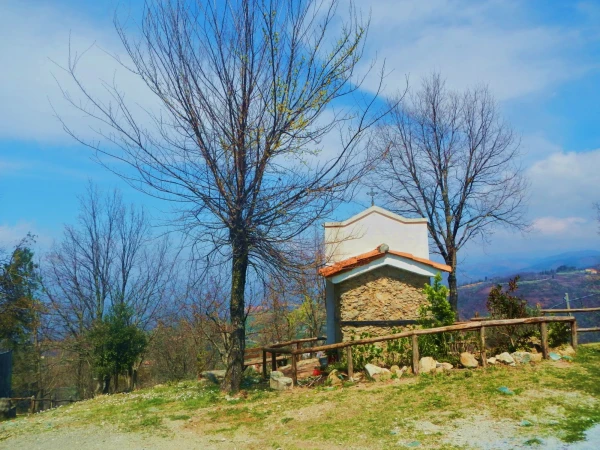 в горах Калабрии