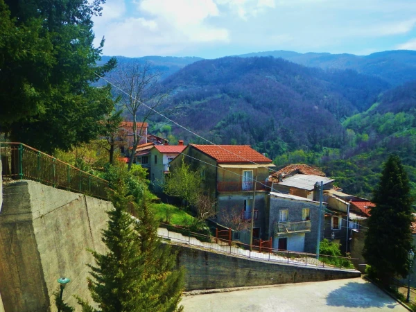  Conflenfi