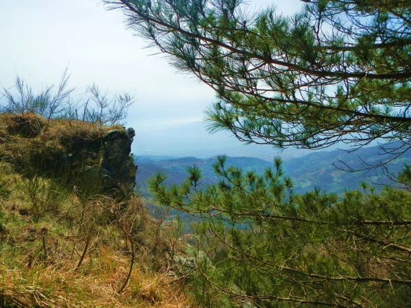 в горах Калабрии