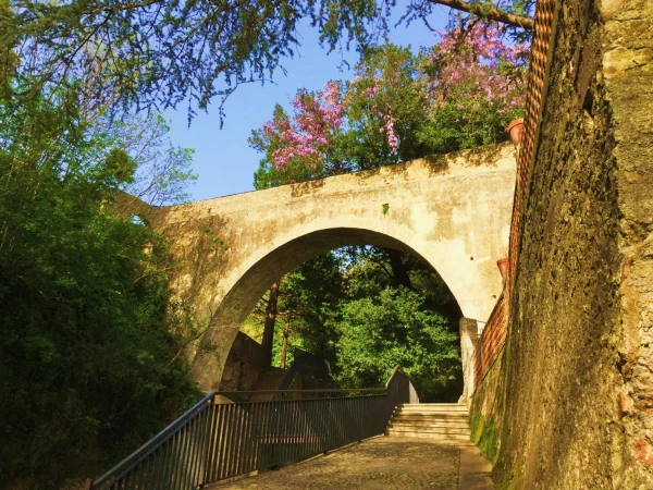 Santuario di S.Francesco di Calabria