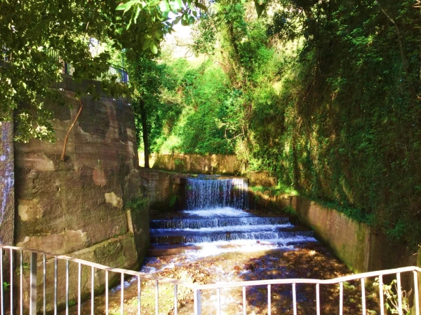 Santuario di S.Francesco di Calabria