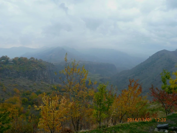 Гарни