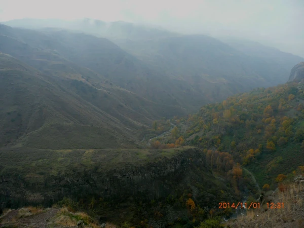 Гарни