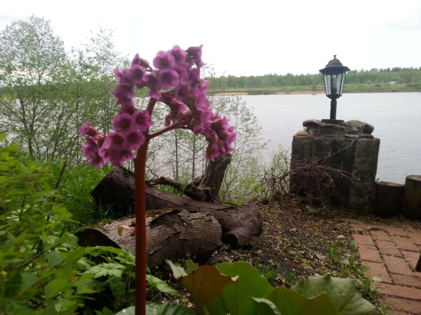 отель. территория