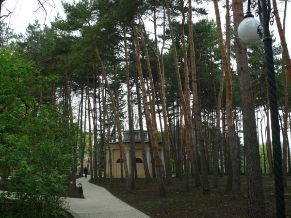 Дорога к 3 корпусу
