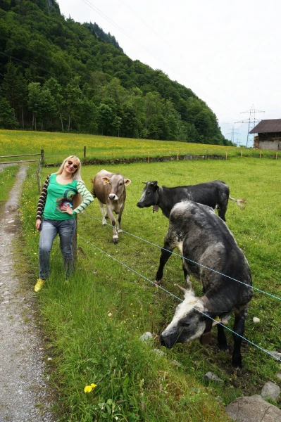 Майринген (Meiringen)