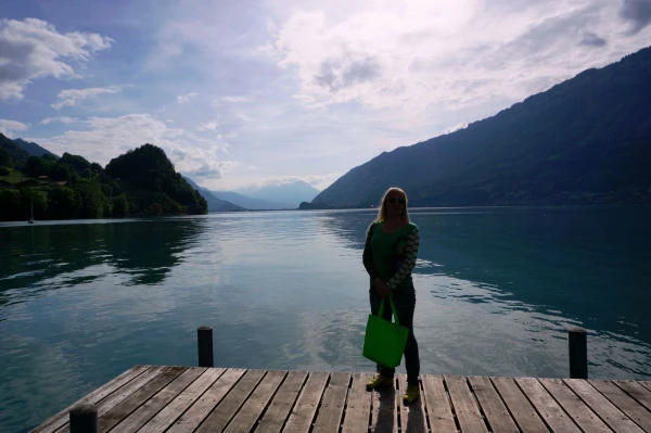Iseltwald, Brinzersee