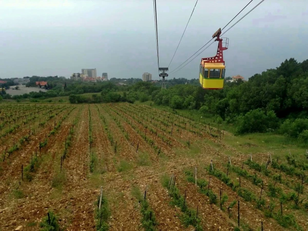 Встреча